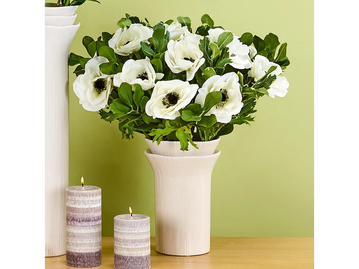 Tige d'Anémone Velvet - Rouge