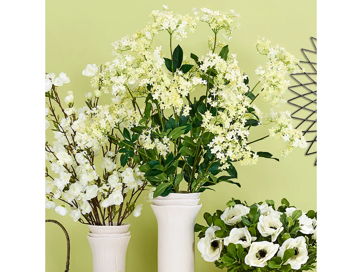 Tige d'Anémone Velvet - Rouge