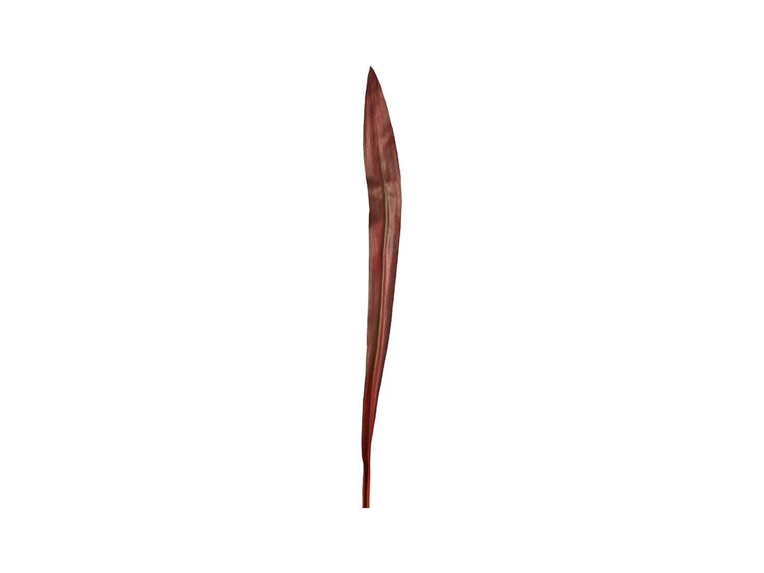 Feuille Effet Séché - Marron