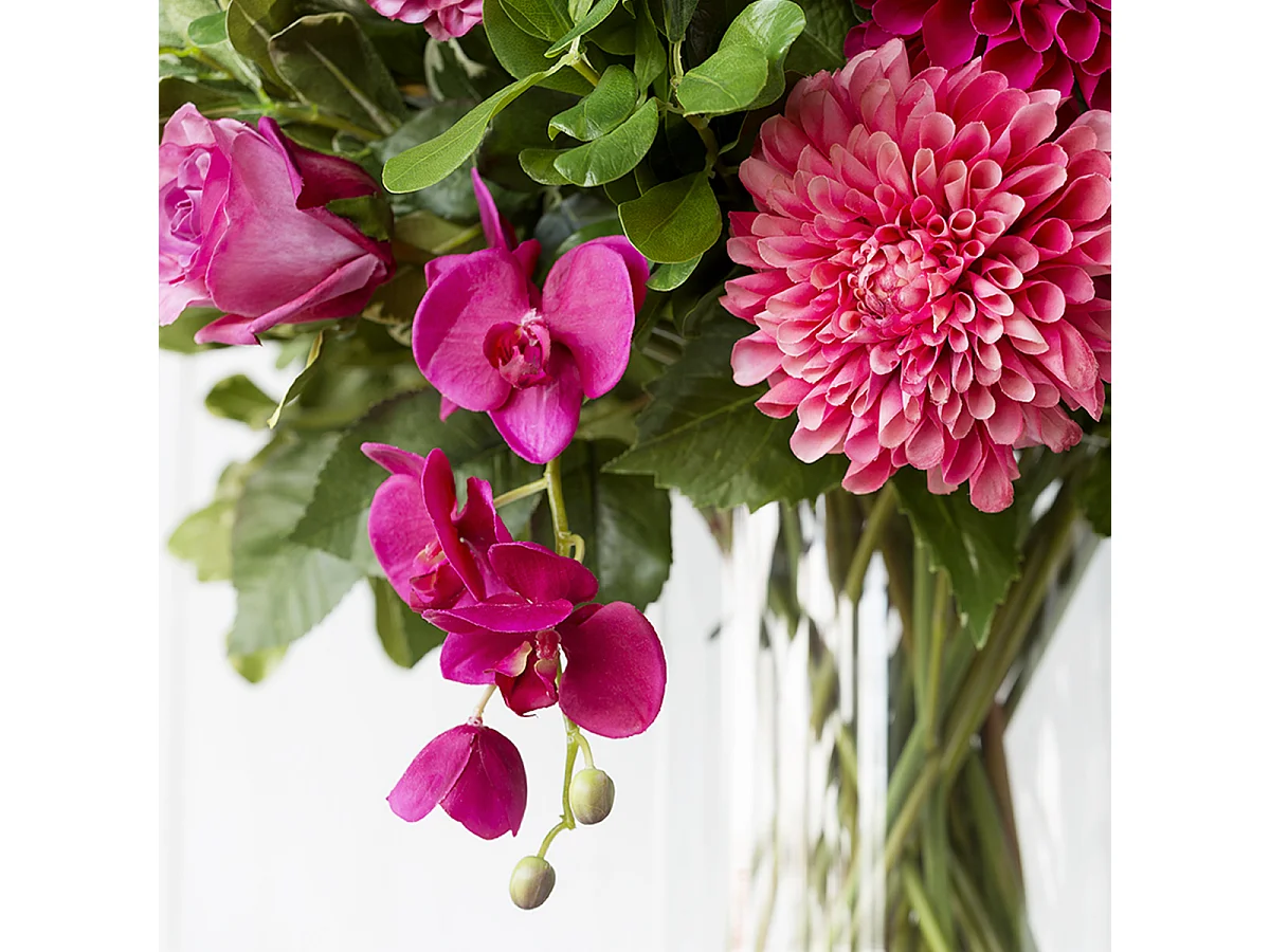 Tige d'Orchidée Phalaenopsis Forever - Fuchsia