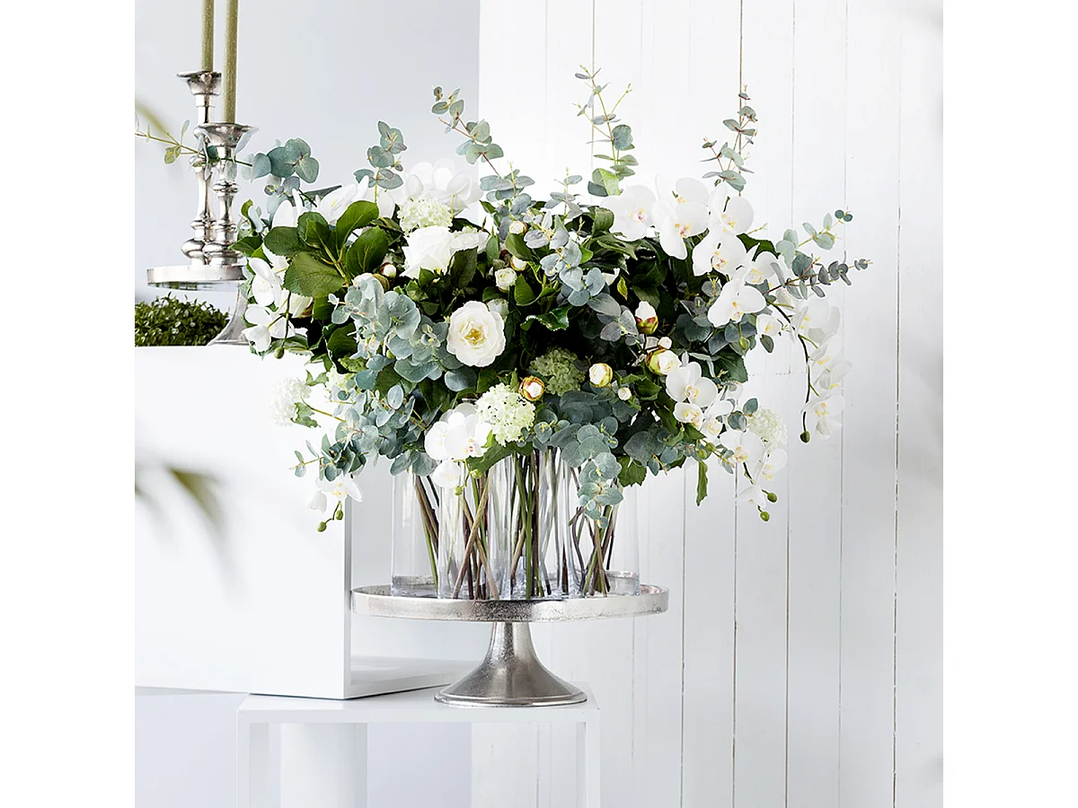 Tige d'Orchidée Phalaenopsis Forever - Fuchsia