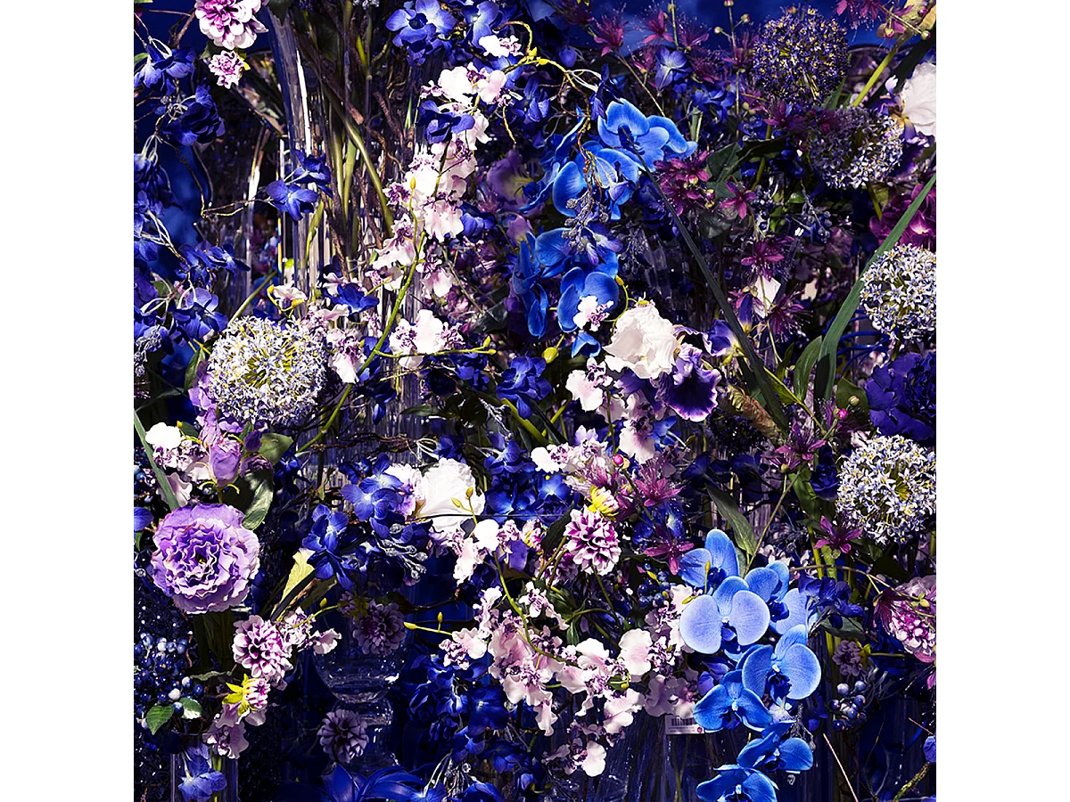 Tige d'Orchidée Phalaenopsis Forever - Fuchsia