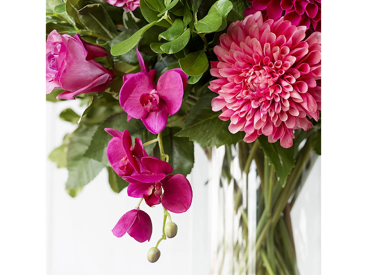 Tige d'Orchidée Phalaenopsis Forever - Fuchsia