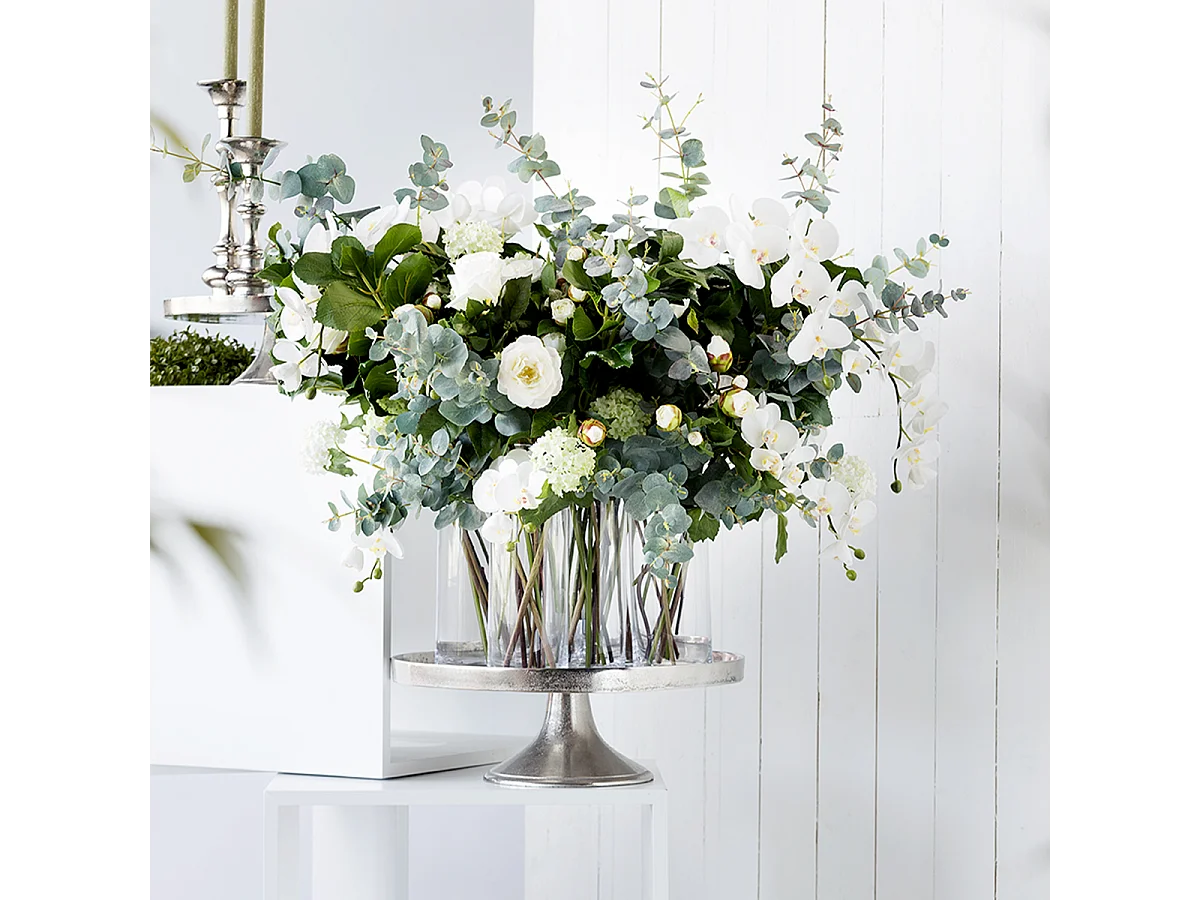 Tige d'Orchidée Phalaenopsis Forever - Fuchsia