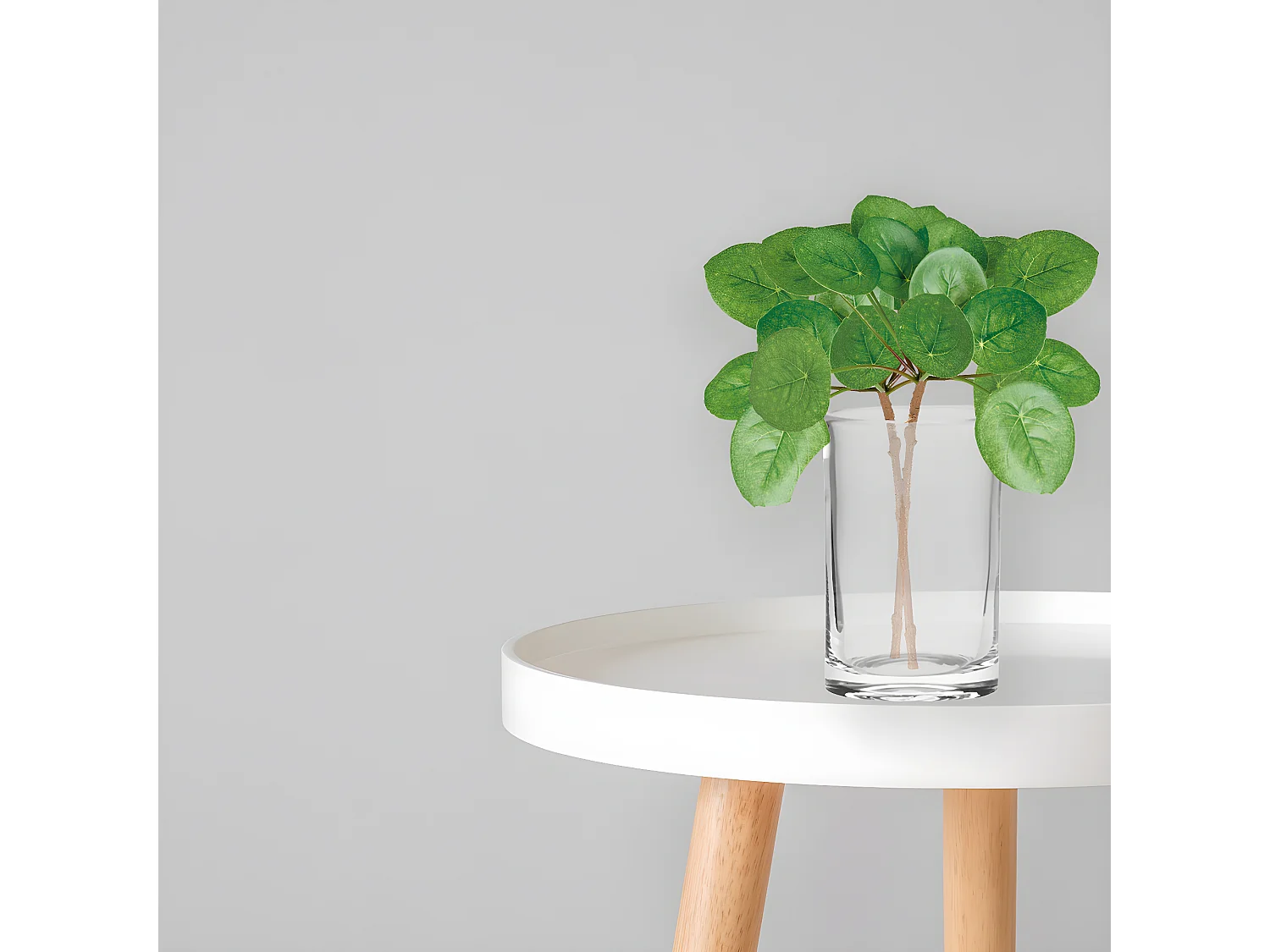 Feuillage de Pilea - Vert / 33 cm