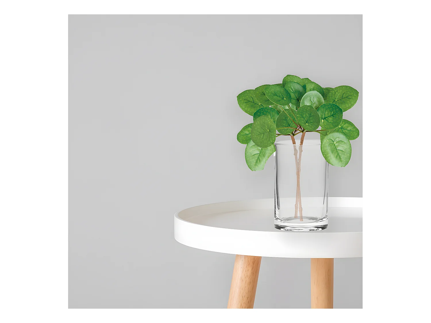 Feuillage de Pilea - Vert / 33 cm