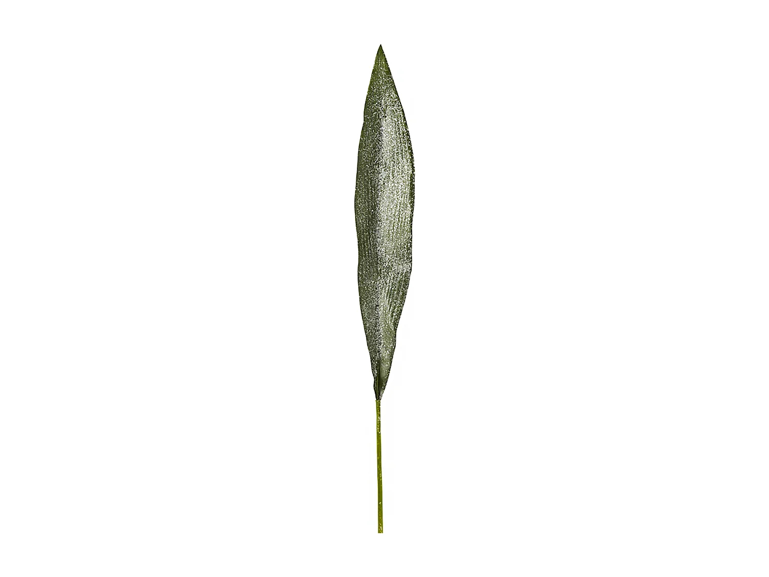 Feuille d’Aspidistra Givrée - Vert / 90 cm