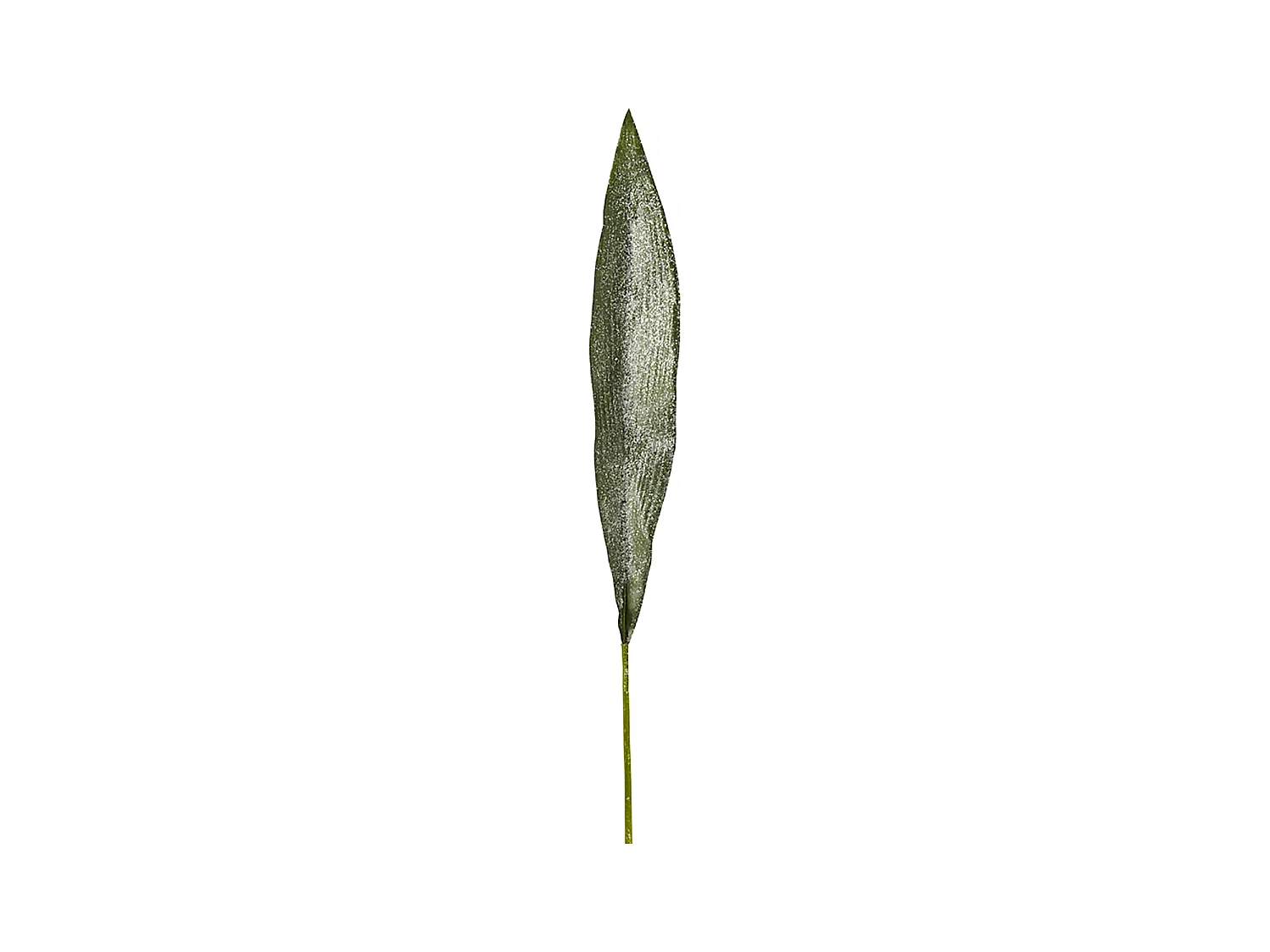 Feuille d’Aspidistra Givrée - Vert / 90 cm