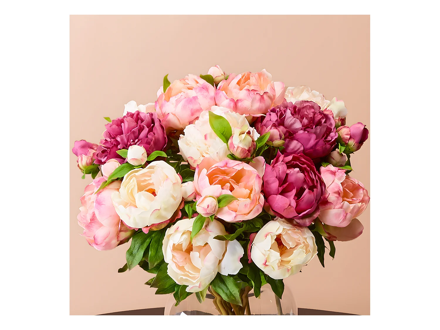 Tige de Pivoine Penny - Rose