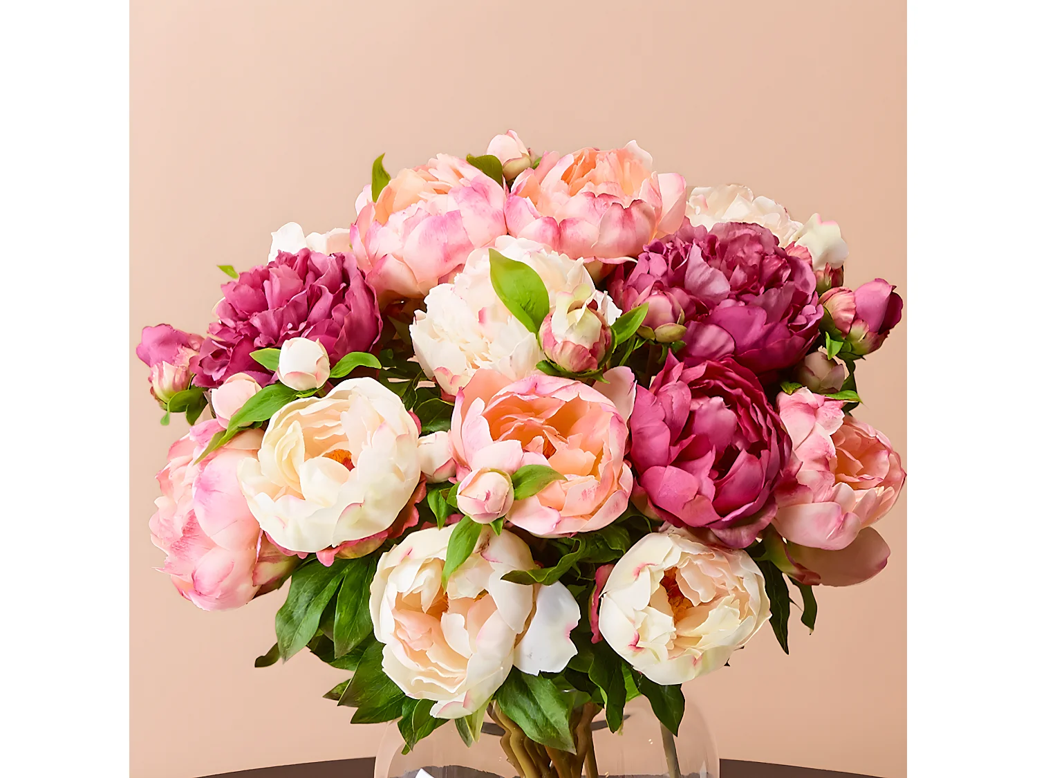 Tige de Pivoine Penny - Rose