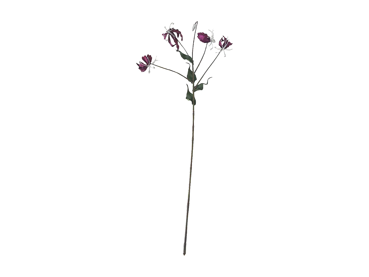 Tige de Gloriosa Amy Pailletée - Violet / 88 cm