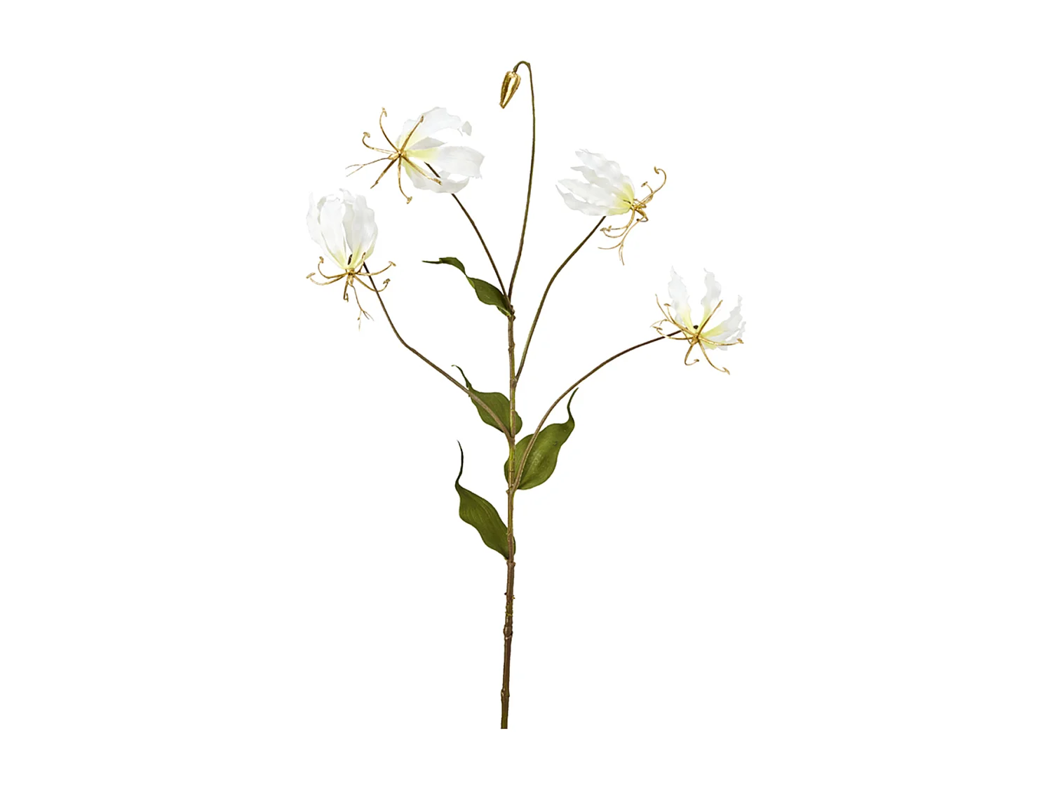 Tige de Gloriosa Amy Pailletée - Violet / 88 cm