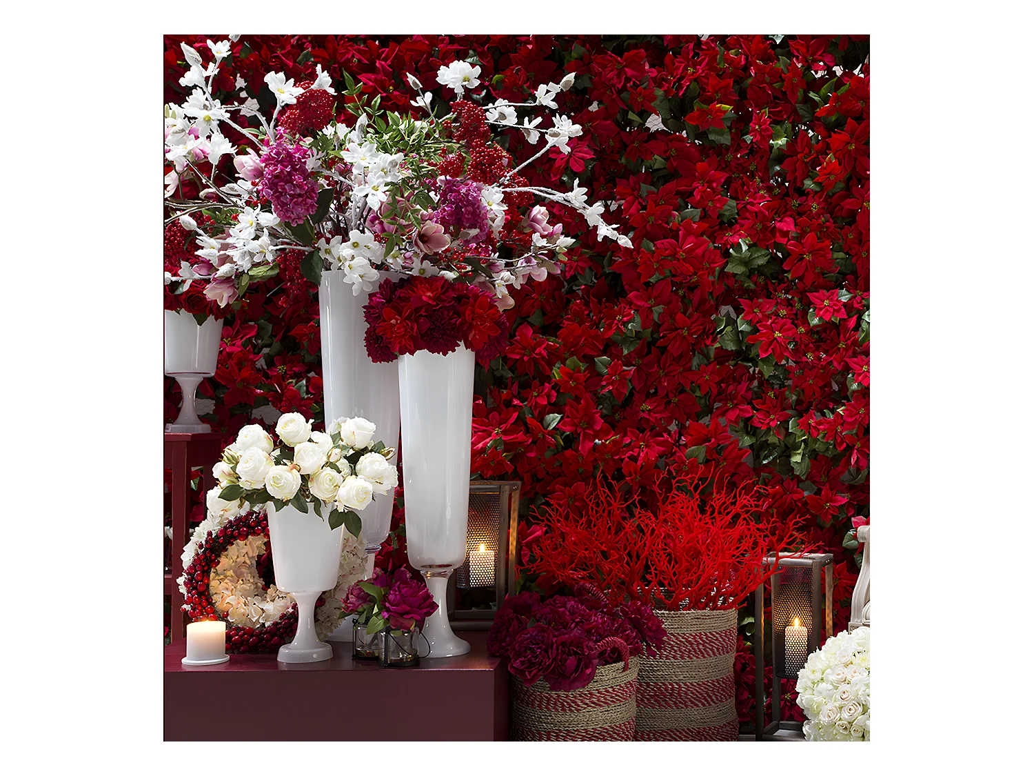 Tige de Cerisier des Neiges - Blanc