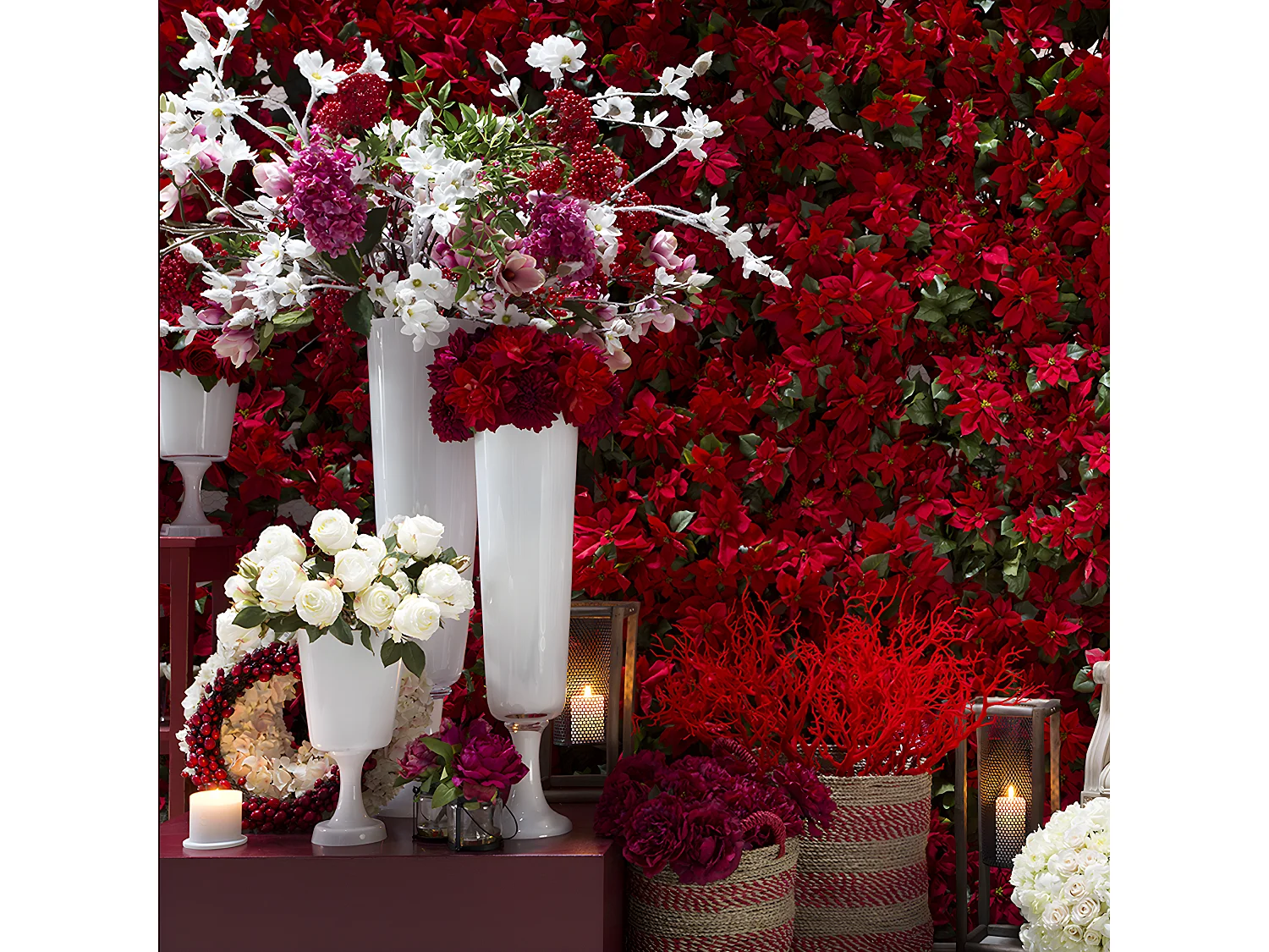 Tige de Cerisier des Neiges - Blanc