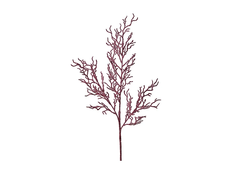 Branche de Brindilles Embrumées