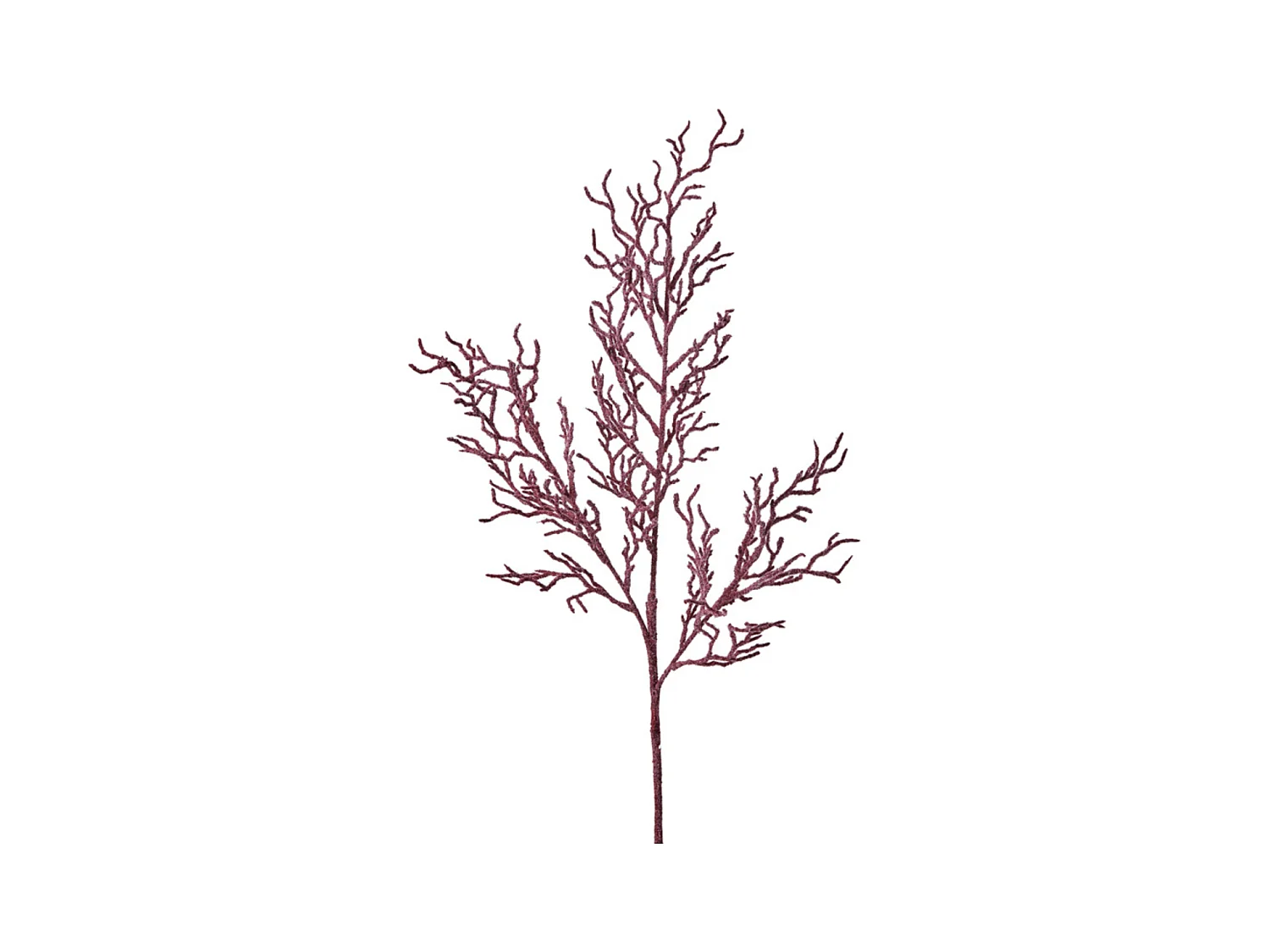 Branche de Brindilles Embrumées