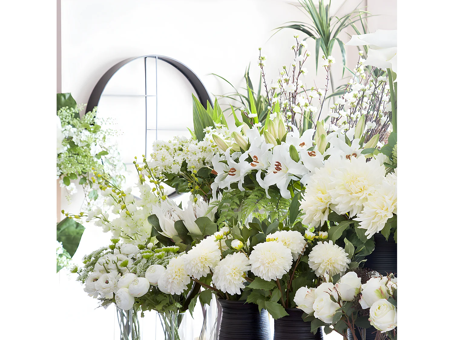 Tige de Lily Rubrum Elsa - Violet / 98 cm