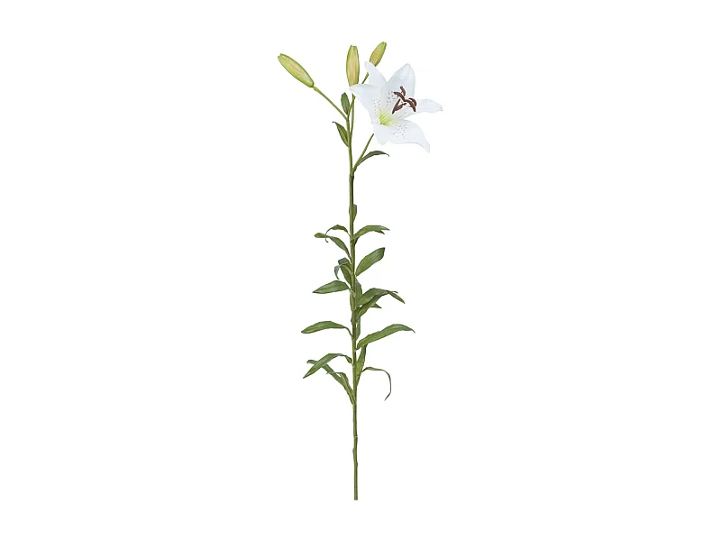 Tige de Lily Rubrum Elsa - Violet / 98 cm