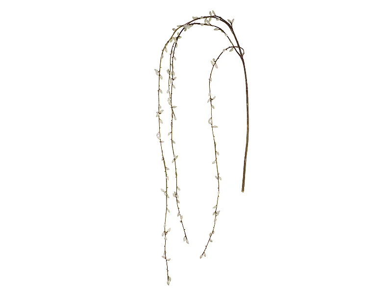 Branche de Saule Tombante