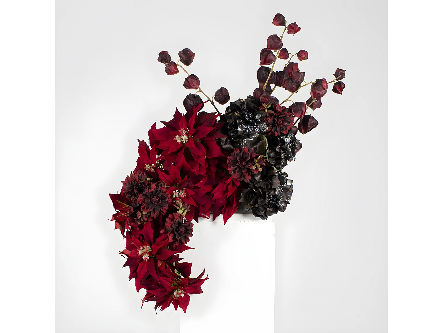 Tige de Physalis Marly - Bordeaux