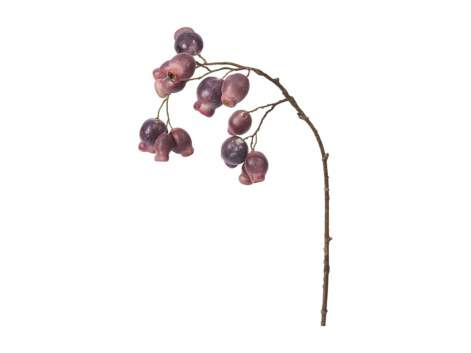 Branche Églantier - Orange / 64 cm