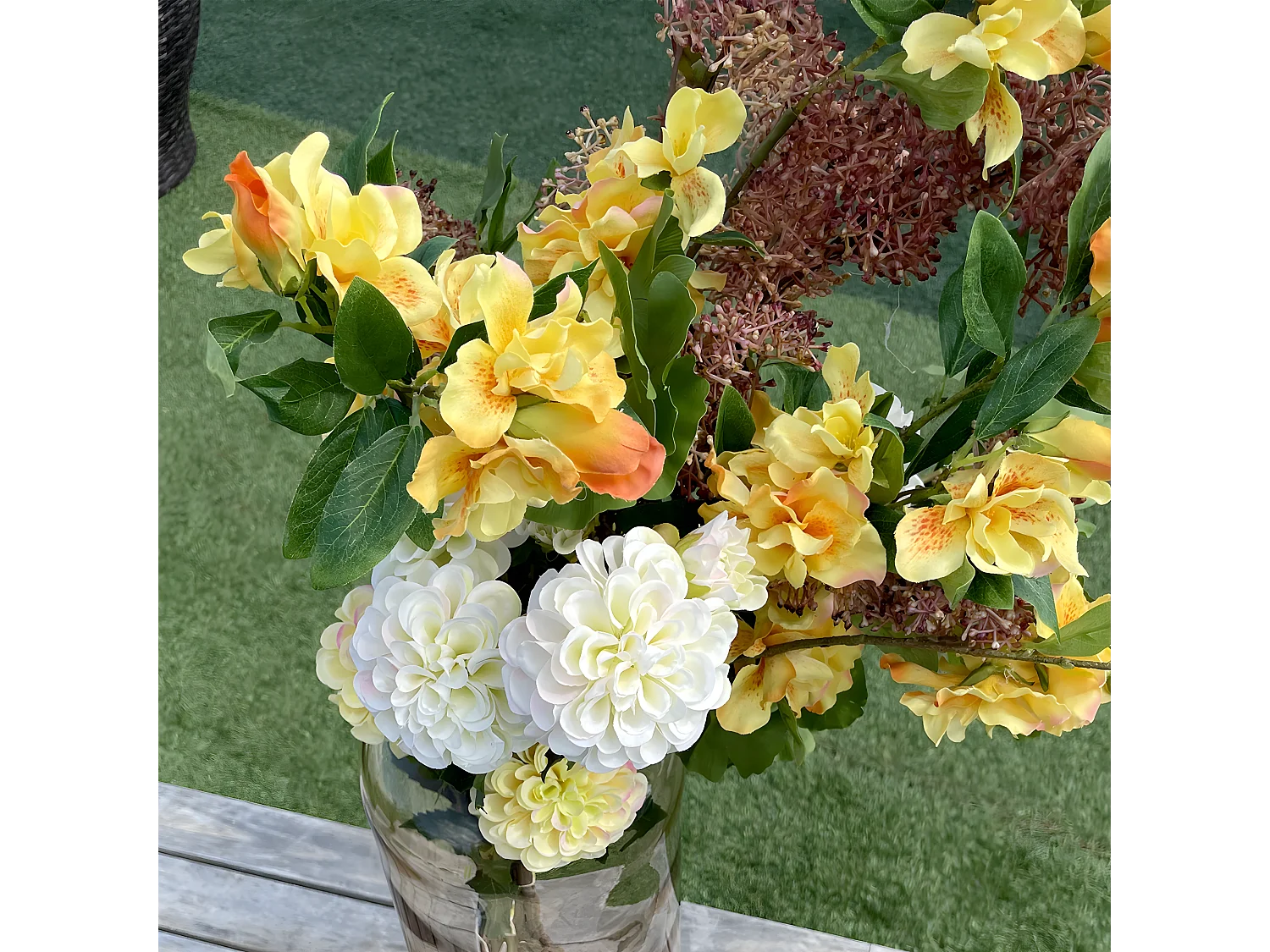 Tige de Dahlia Andreas