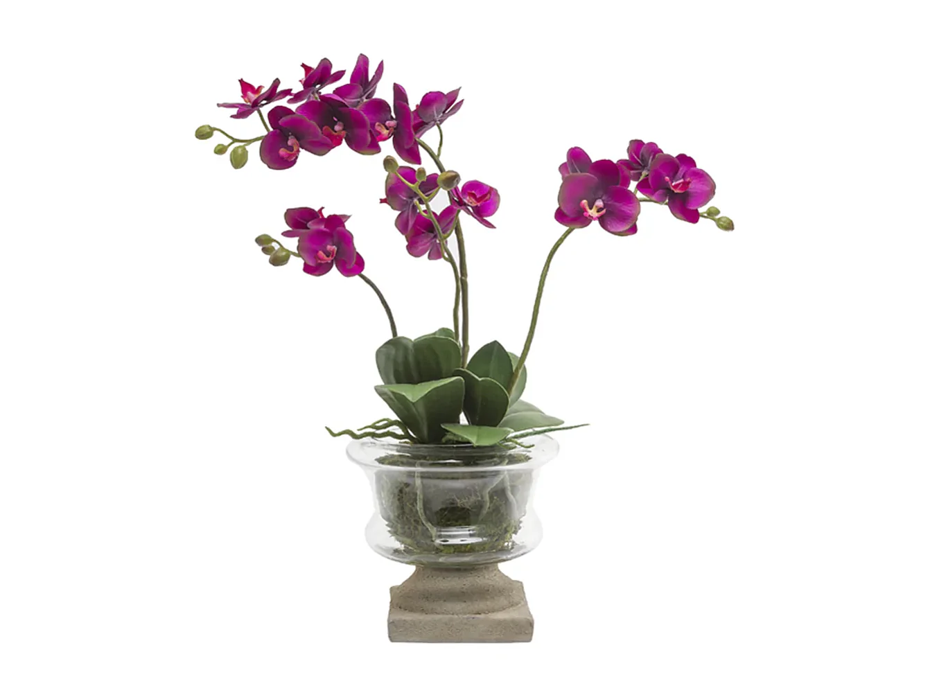 Composition d'Orchidée Artificielle Petit format - Blanc / 58 cm