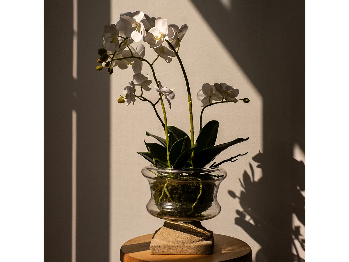 Composition d'Orchidée Artificielle Petit format - Blanc / 58 cm