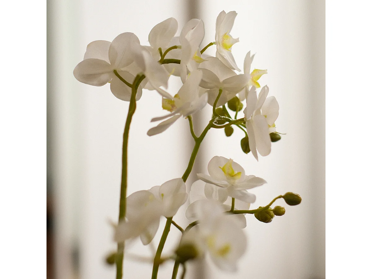 Composition d'Orchidée Artificielle Petit format - Blanc / 58 cm