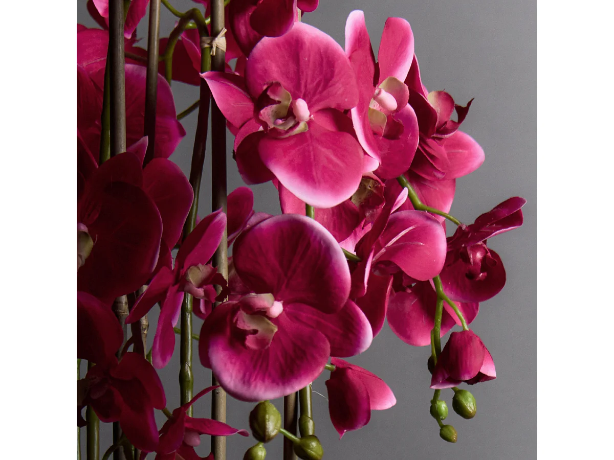 Composition d'Orchidée Artificielle Petit format - Blanc / 58 cm