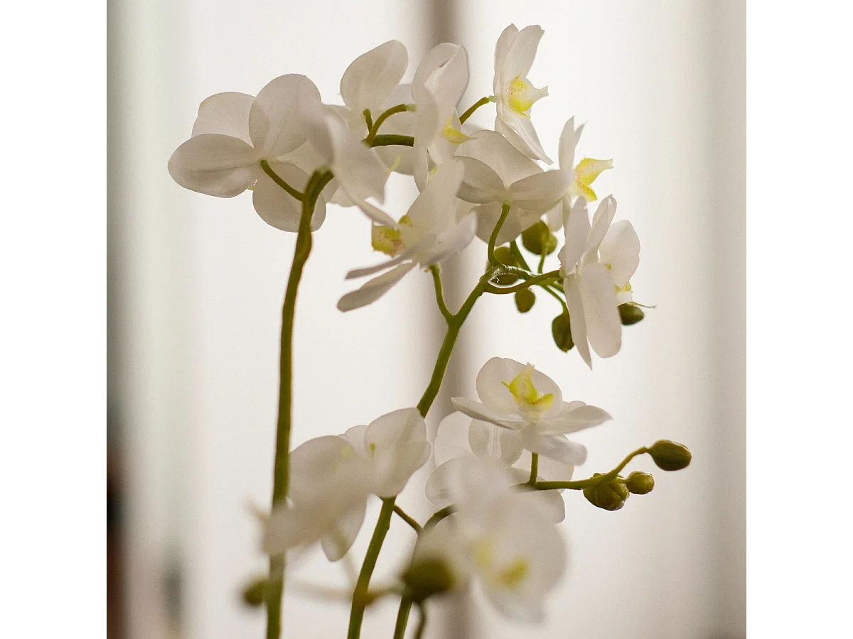 Composition d'Orchidée Artificielle Petit format - Blanc / 58 cm