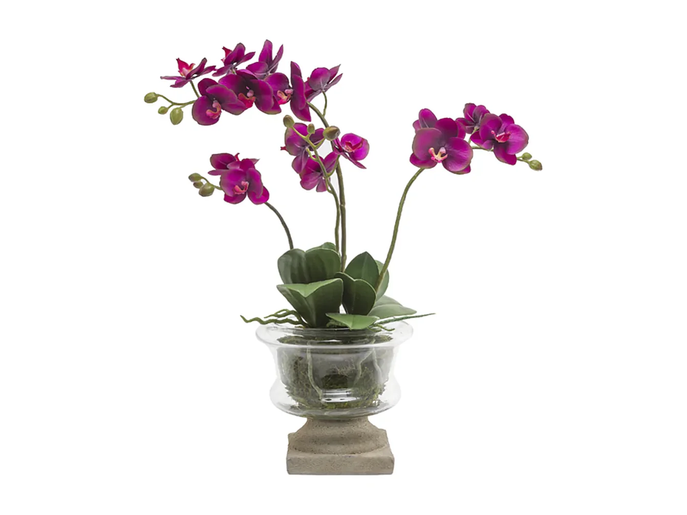 Composition d'Orchidée Artificielle Petit format - Blanc / 58 cm