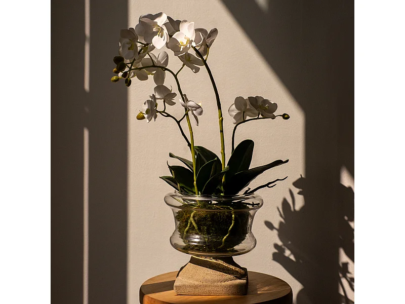 Composition d'Orchidée Artificielle Petit format - Blanc / 58 cm