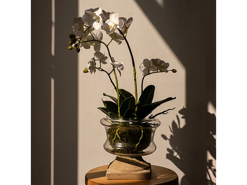 Composition d'Orchidée Artificielle Petit format - Blanc / 58 cm