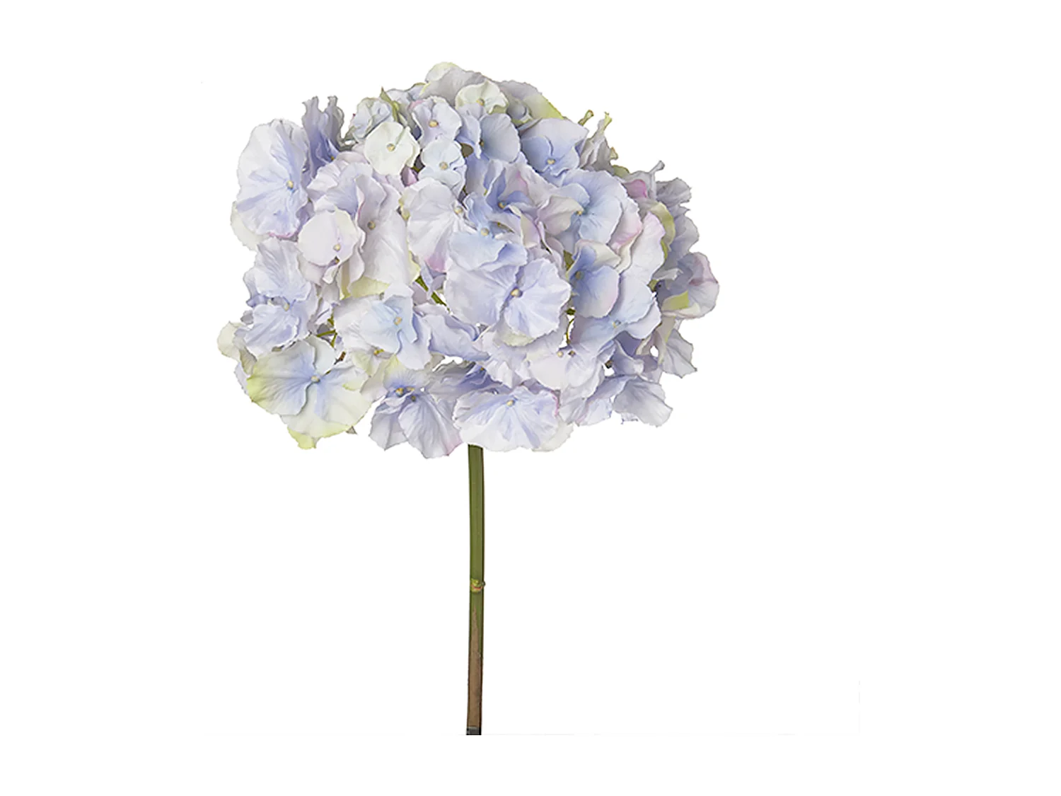 Tige d'Hortensia Anae - Rouge / 50 cm