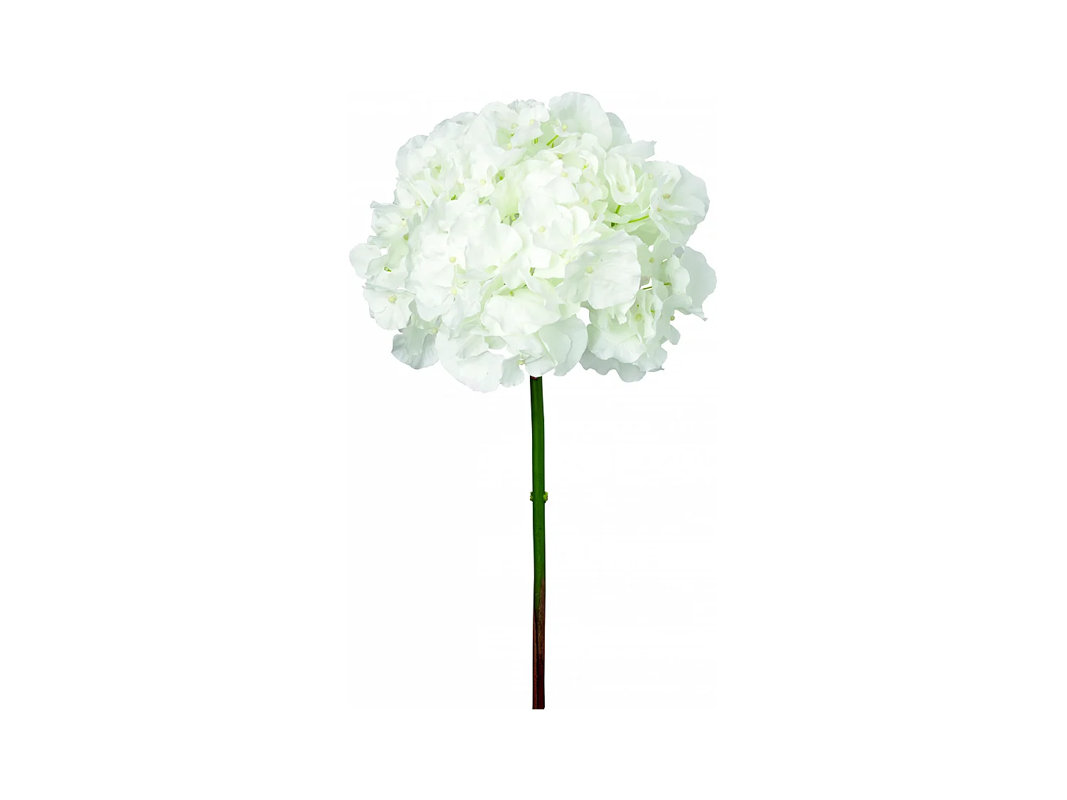 Tige d'Hortensia Anae - Rouge / 50 cm