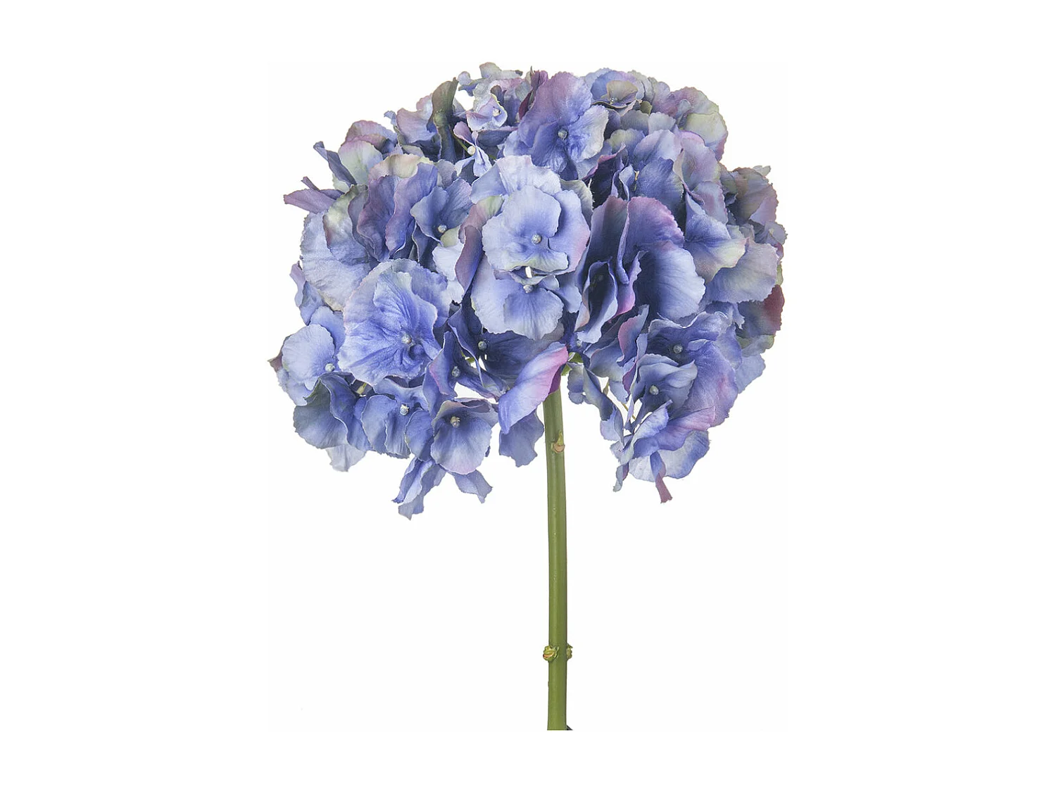 Tige d'Hortensia Anae - Rouge / 50 cm