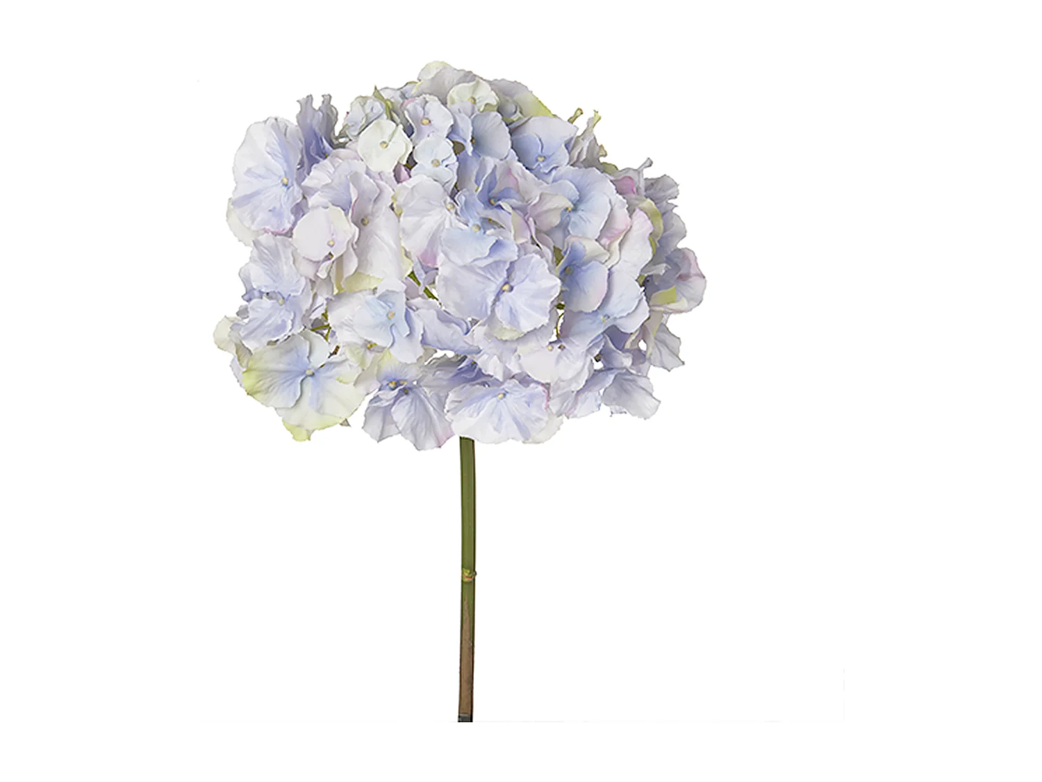 Tige d'Hortensia Anae - Rouge / 50 cm