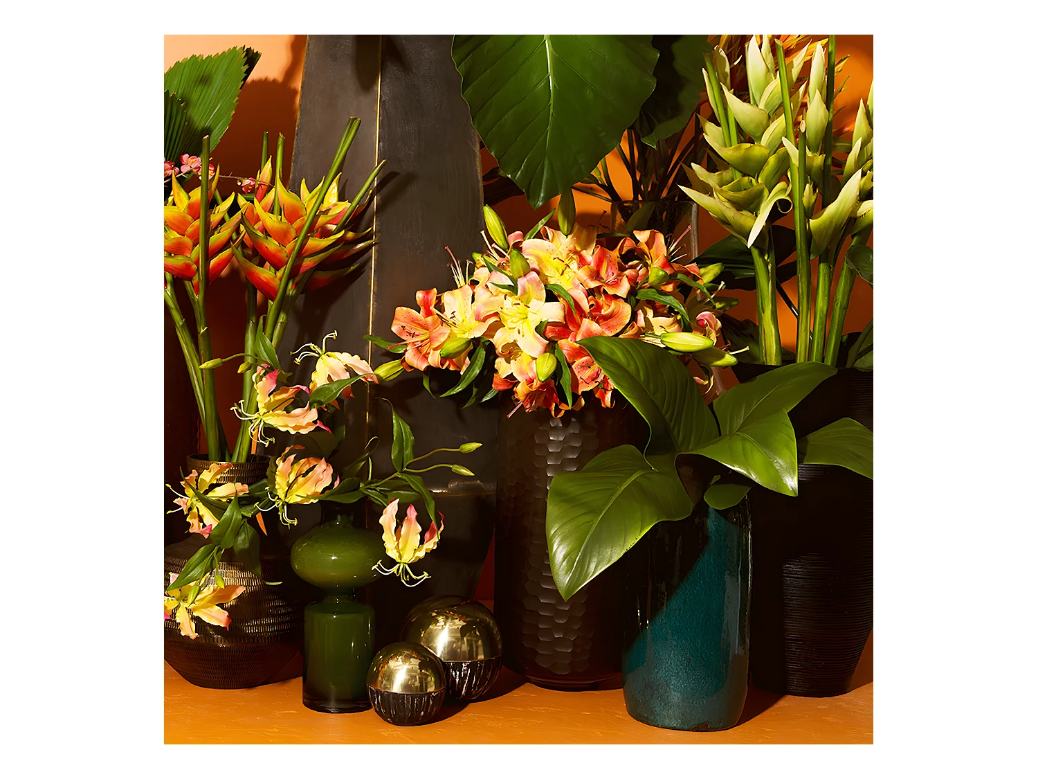 Tige d'Heliconia Rostrata - Orange
