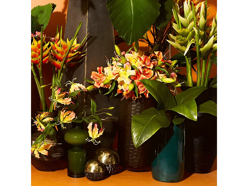 Tige d'Heliconia Rostrata - Orange