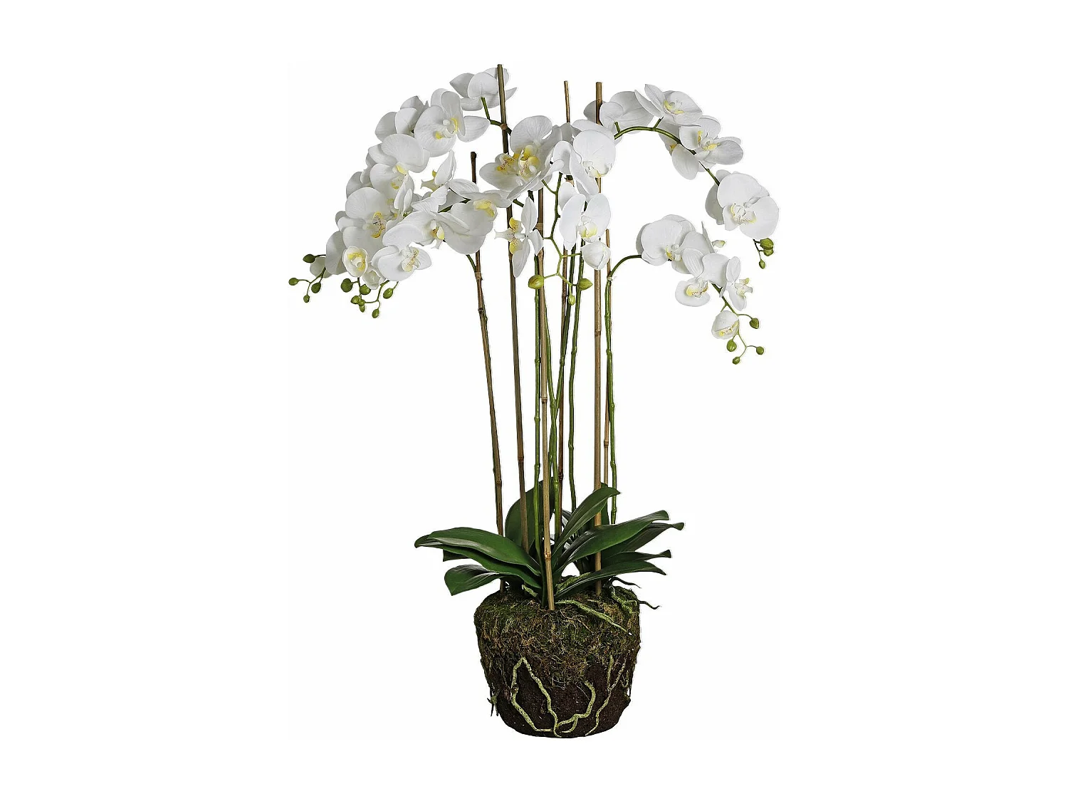 Orchidée Artificielle en Terre Très Grand format - Violet / 100 cm