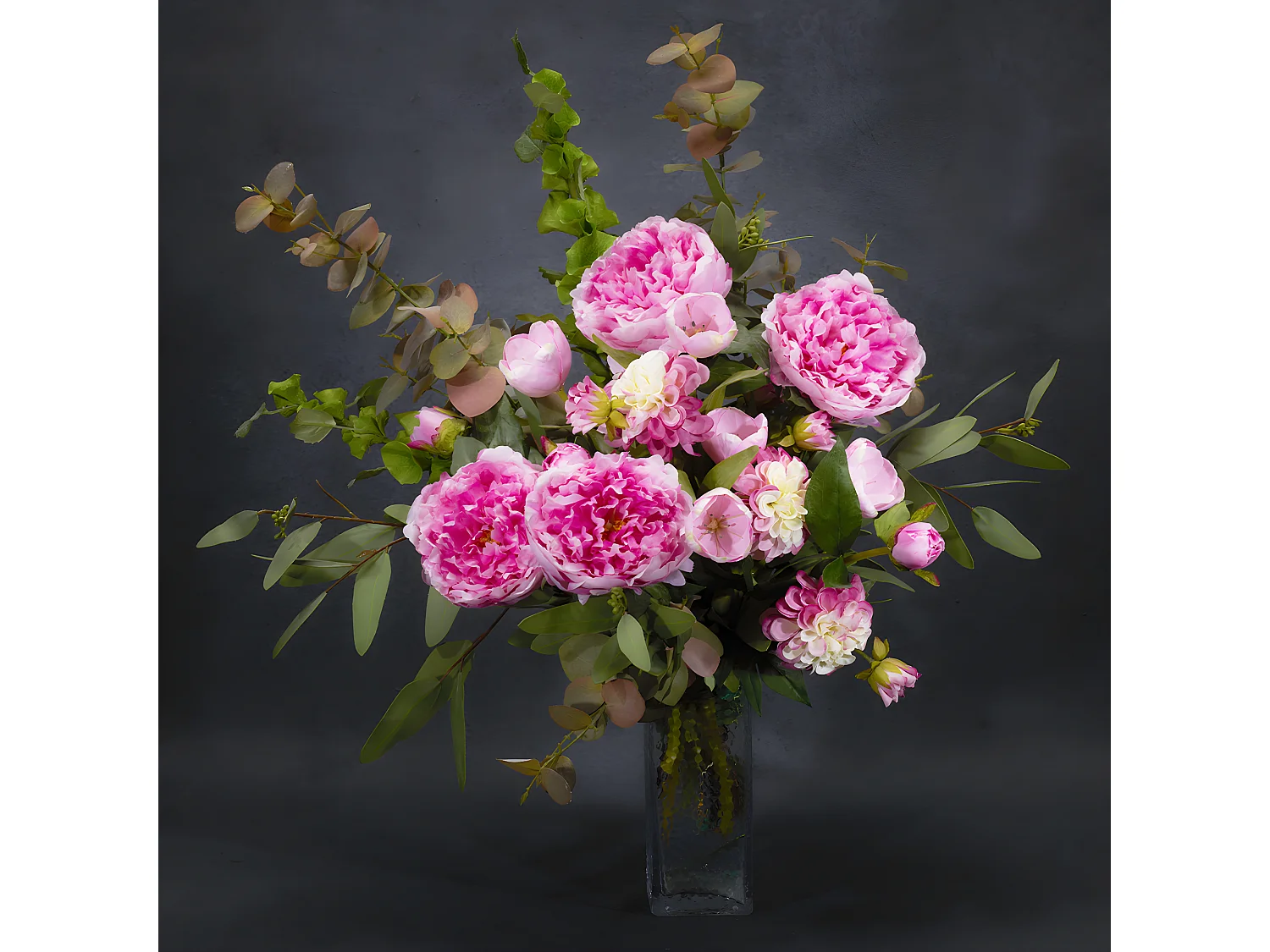 Tige de Pivoine Jardin - Fuchsia