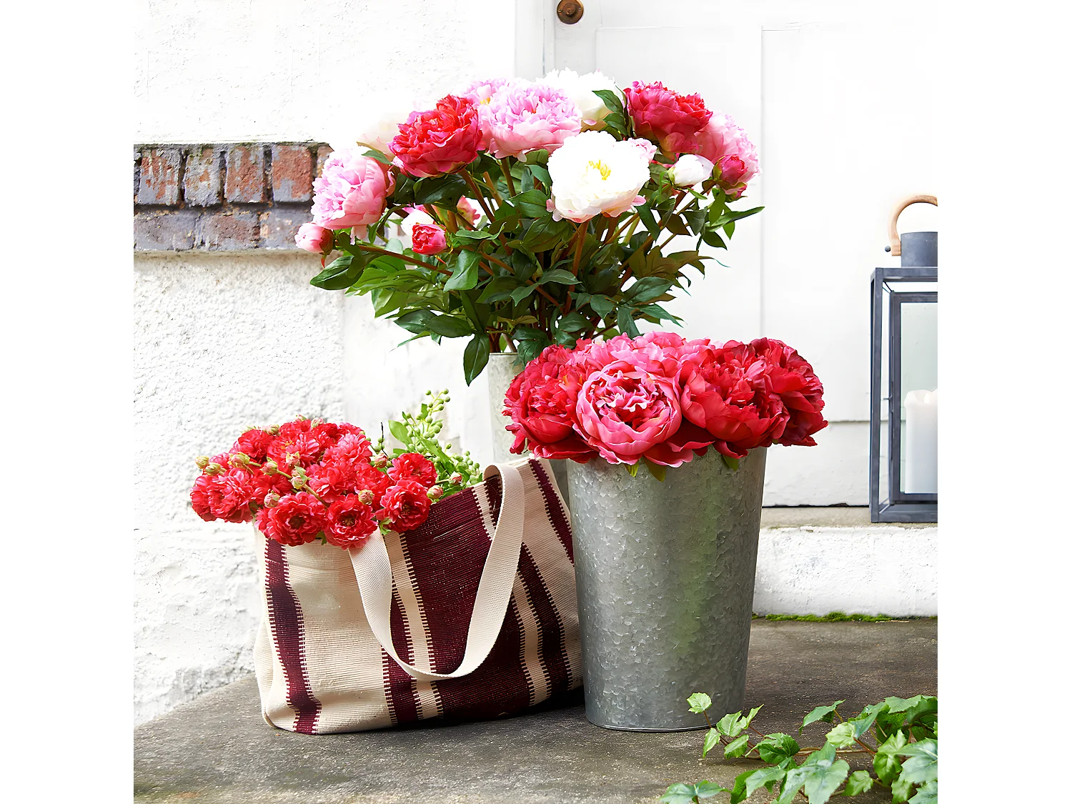 Tige de Pivoine Jardin - Fuchsia