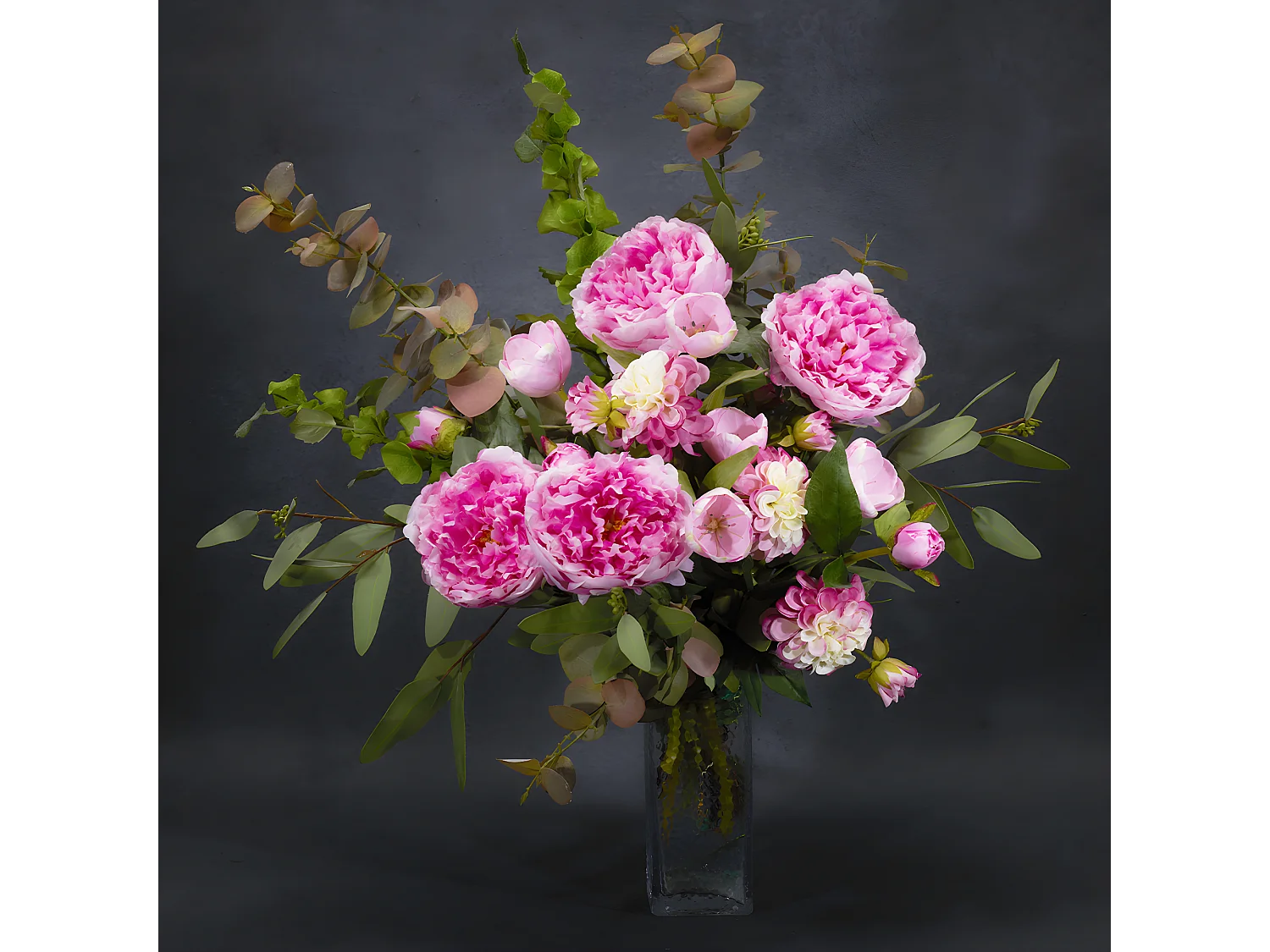 Tige de Pivoine Jardin - Fuchsia