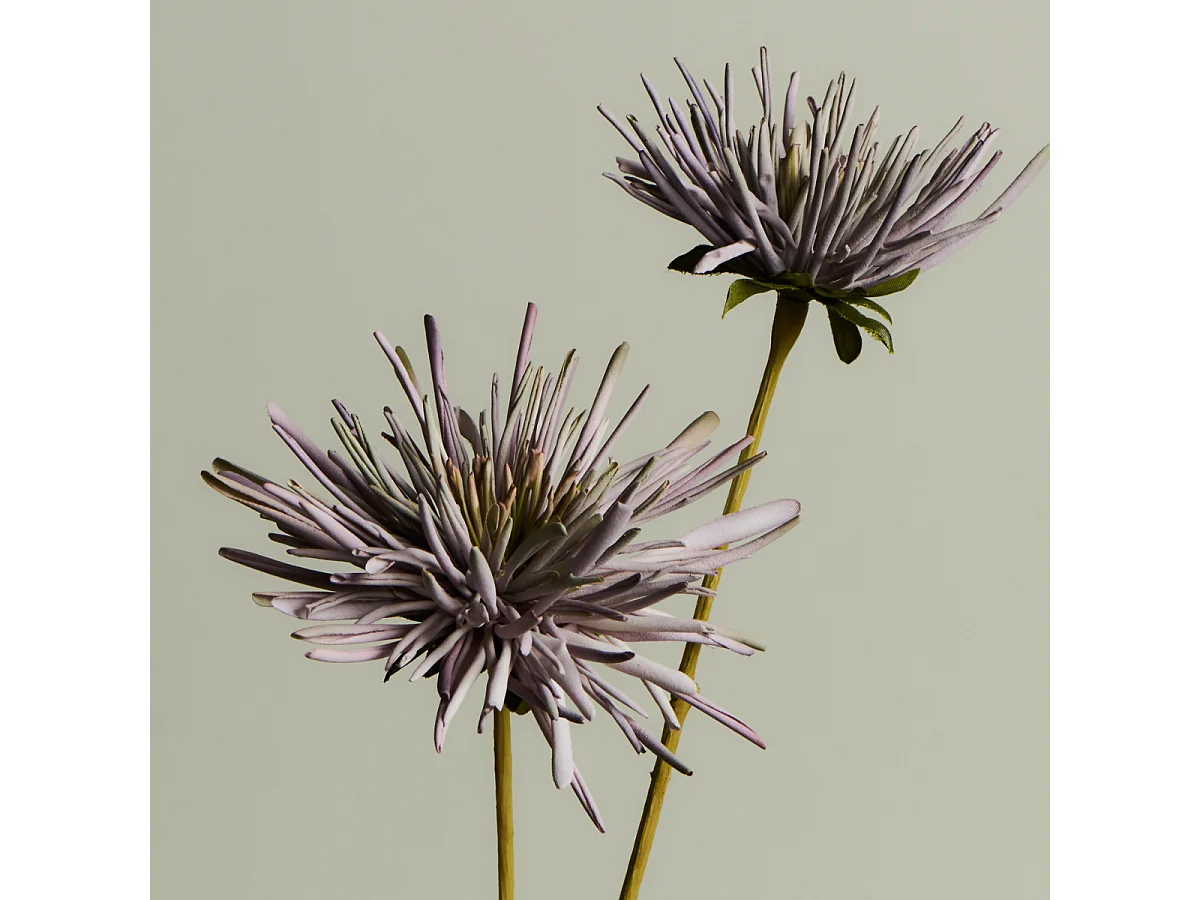 Tige de Chrysanthème Mum - Gris