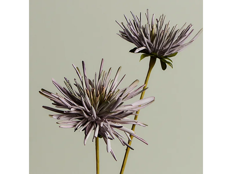 Tige de Chrysanthème Mum - Gris