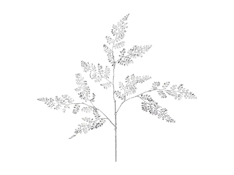 Feuillage de Fougère Effet Métallique