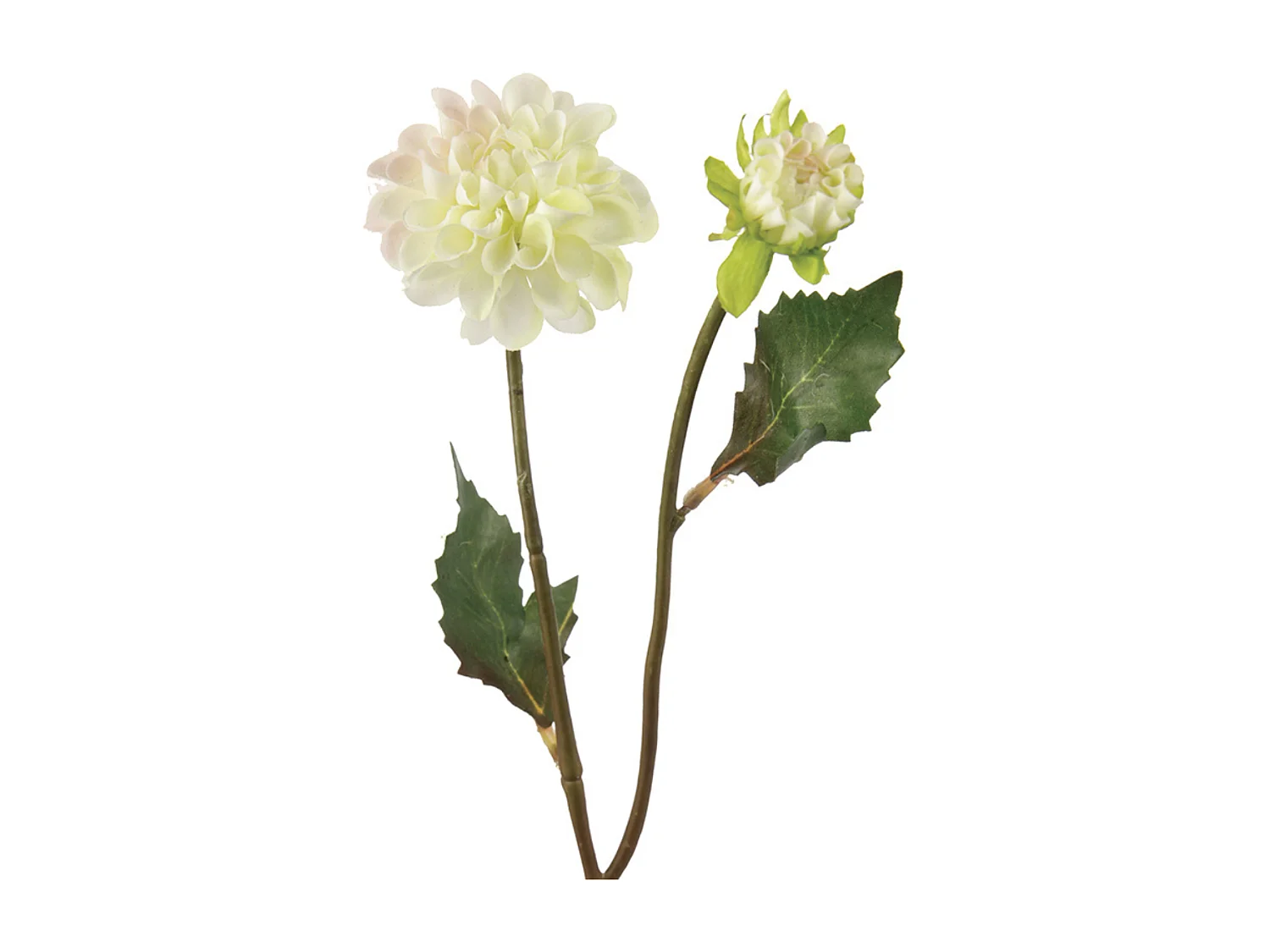 Tige de Dahlia Andreas - Orange / 48 cm