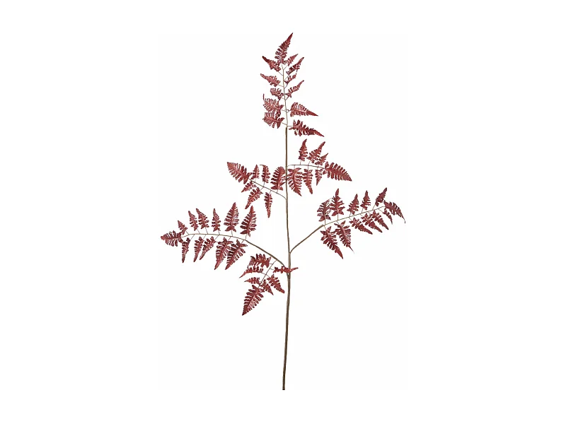 Feuillage de Fougère - Rouge