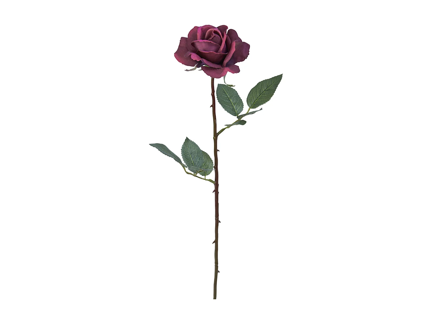 Tige de Rose Sophia - Blanc / 65 cm